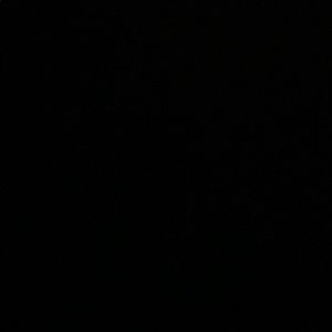 Meet your Posher, Karla